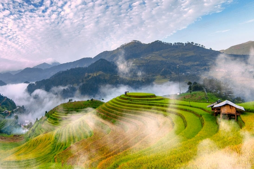 Thời điểm thích hợp để du lịch Mù Cang Chải. Ảnh: Sưu tầm