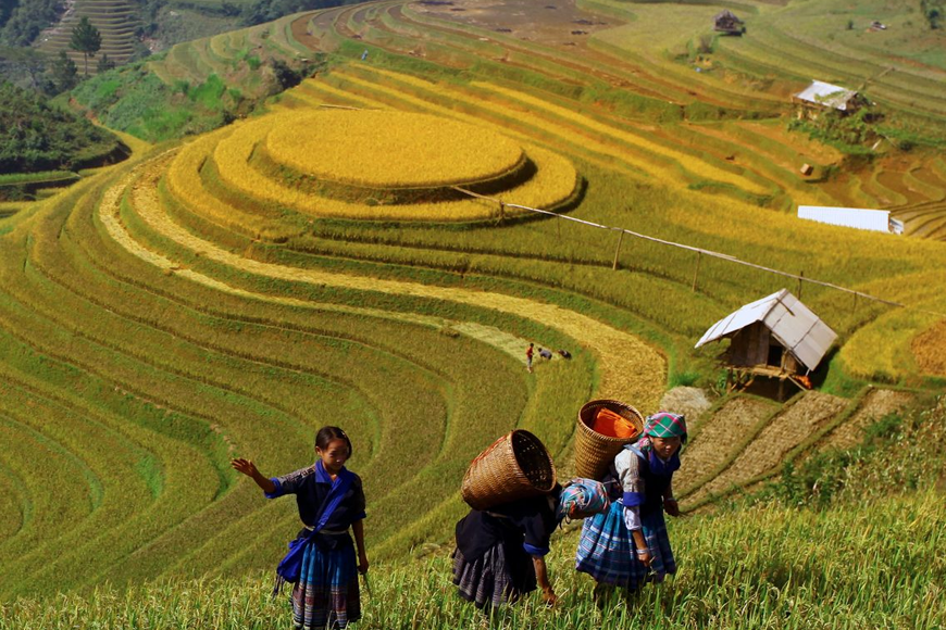 Vẻ đẹp La Pán Tẩn. Ảnh: Sưu tầm