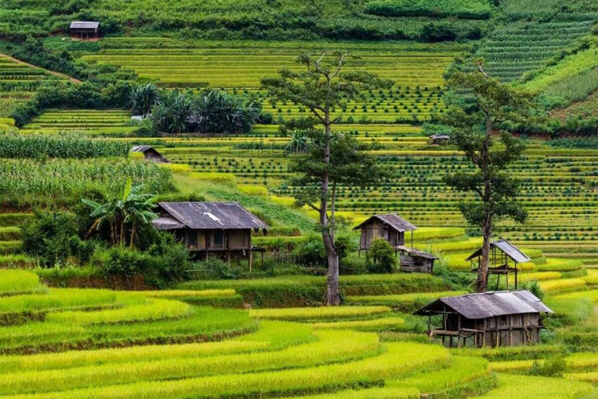 Tận hưởng vẻ đẹp yên bình tại bản Lìm Mông. Ảnh: Sưu tầm