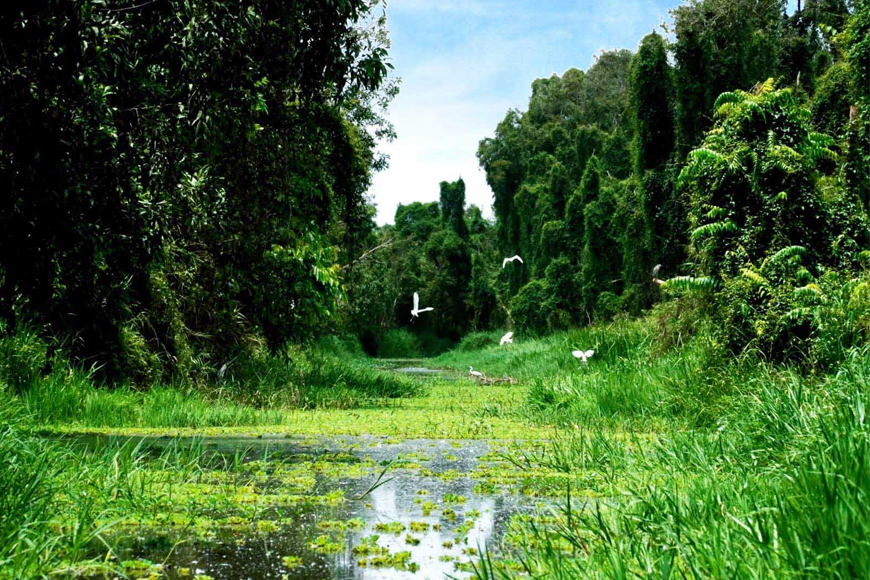 Khám phá khu du lịch sinh thái Gáo Giồng. Ảnh: Sưu tầm