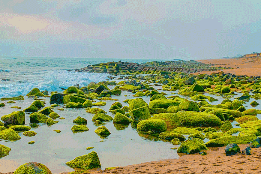 Mùa rêu xanh tại Xóm Rớ. Ảnh: Sưu tầm