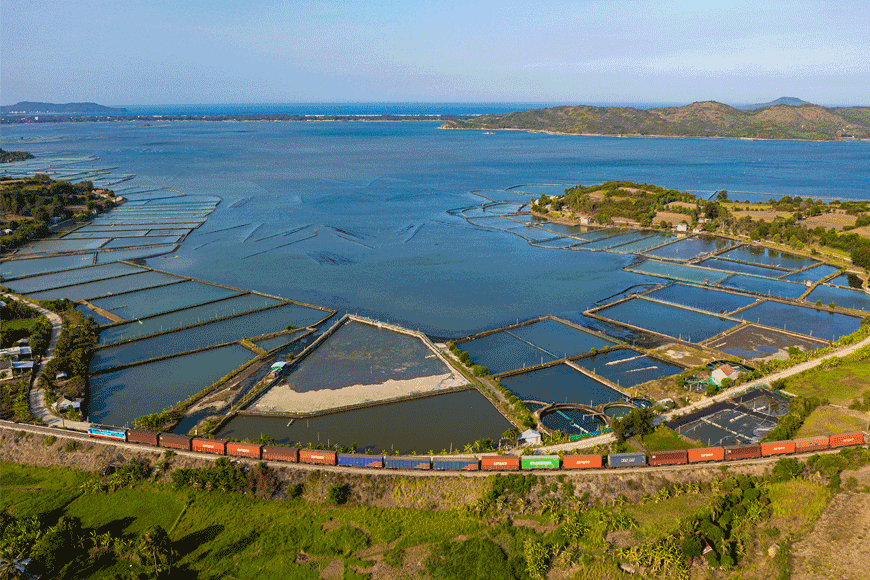 Về đầm Ô Loan ăn sò huyết. Ảnh: Sưu tầm