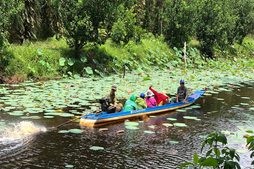 Trải nghiệm xuồng máy khám phá khu du lịch. Ảnh: Sưu tầm