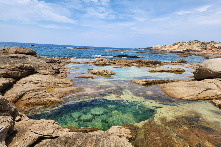 Vẻ đẹp hoang sơ tại Cù lao Mái Nhà. Ảnh: Sưu tầm