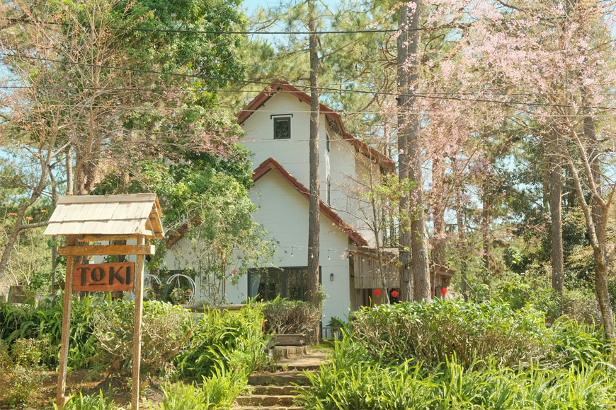 Có một Toki nên thơ đến thế. Ảnh: Sưu tầm