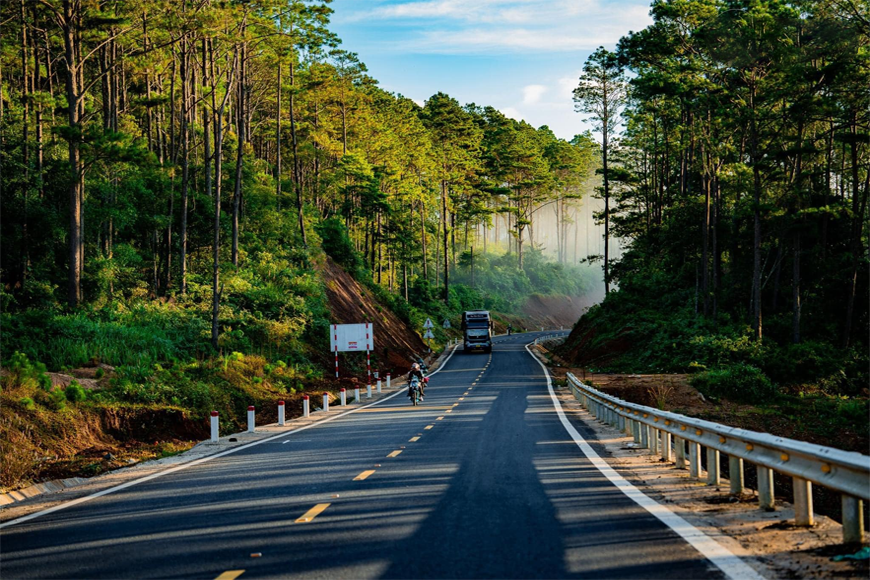 Khám phá vẻ đẹp rừng thông và con đường bất hủ. Ảnh: Sưu tầm