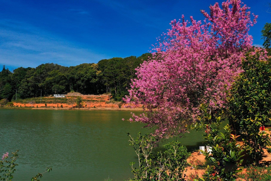 Mùa xuân tại hồ Đak Ke. Ảnh: Sưu tầm