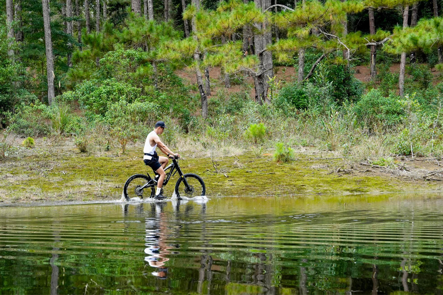 Khám phá rừng thông bằng xe đạp. Ảnh: Sưu tầm