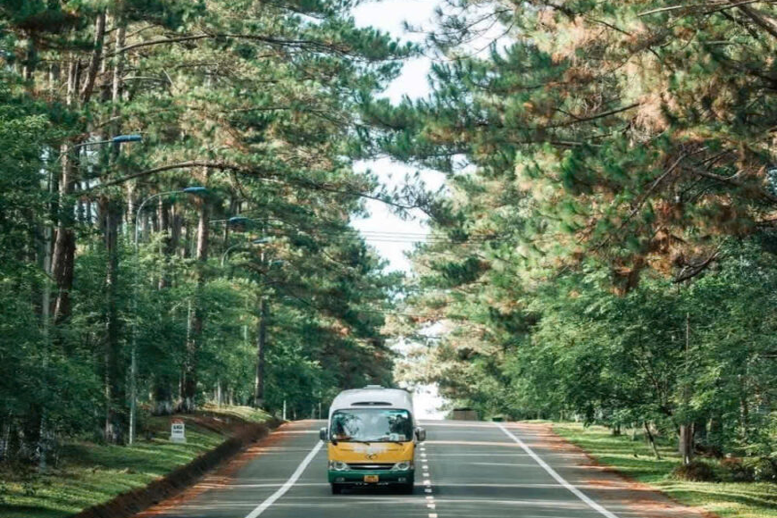 Những phương tiện di chuyển tới rừng thông. Ảnh: Sưu tầm