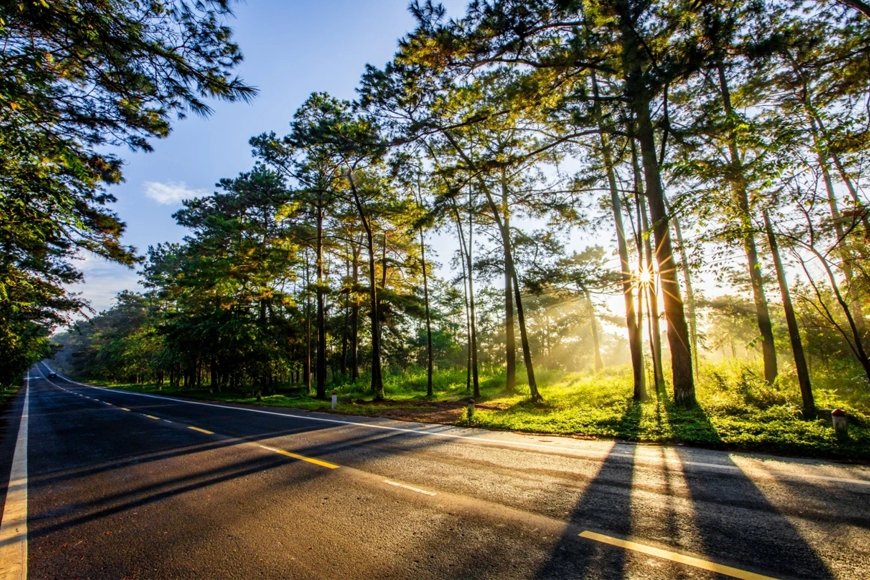 Góc check in tuyệt đẹp cho mọi du khách. Ảnh: Sưu tầm