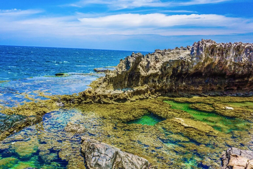 Vẻ đẹp từ tạo hóa thiên nhiên. Ảnh: Sưu tầm