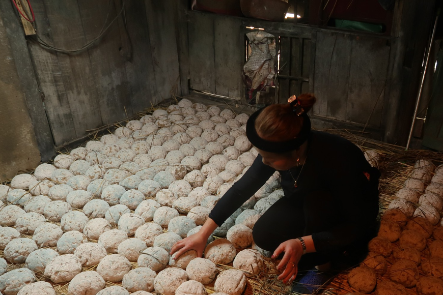 Men lá - thành phần quan trọng tạo nên hương vị rượu. Ảnh: Sưu tầm