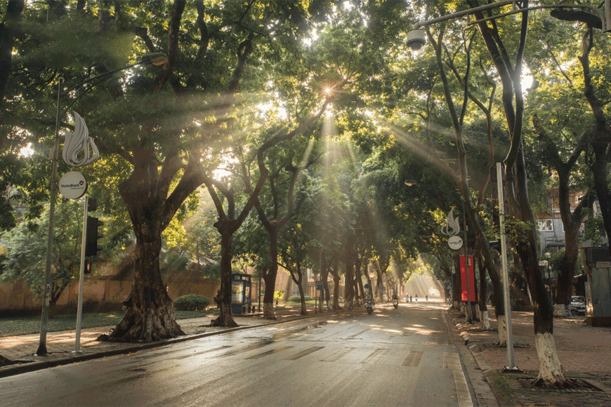 Buổi sáng mùa thu tại Phan Đình Phùng. Ảnh: Sưu tầm