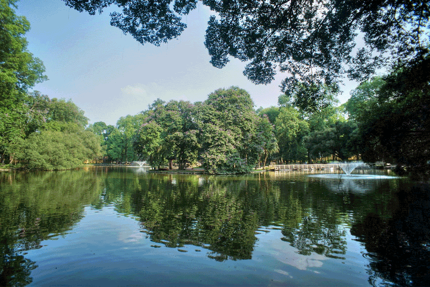 Không gian xanh mát. Ảnh: Sưu tầm