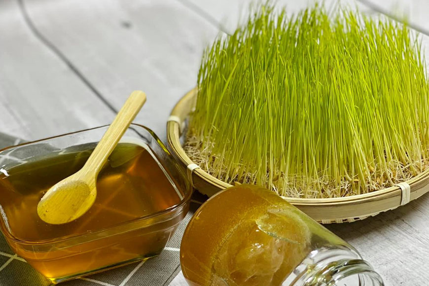 Mạch nha Mộ Đức