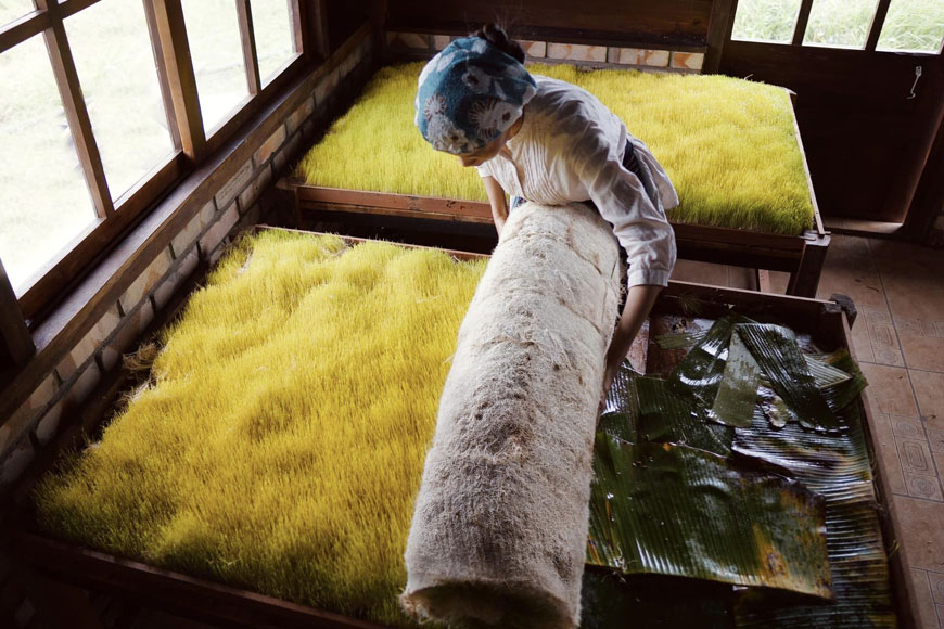 nguyên liệu làm mạch nha