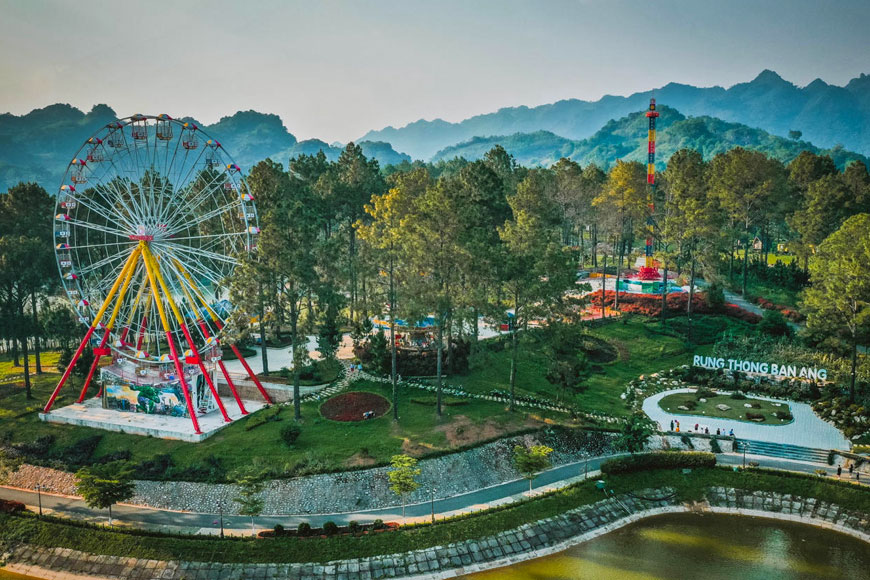 Rừng thông Bản Áng