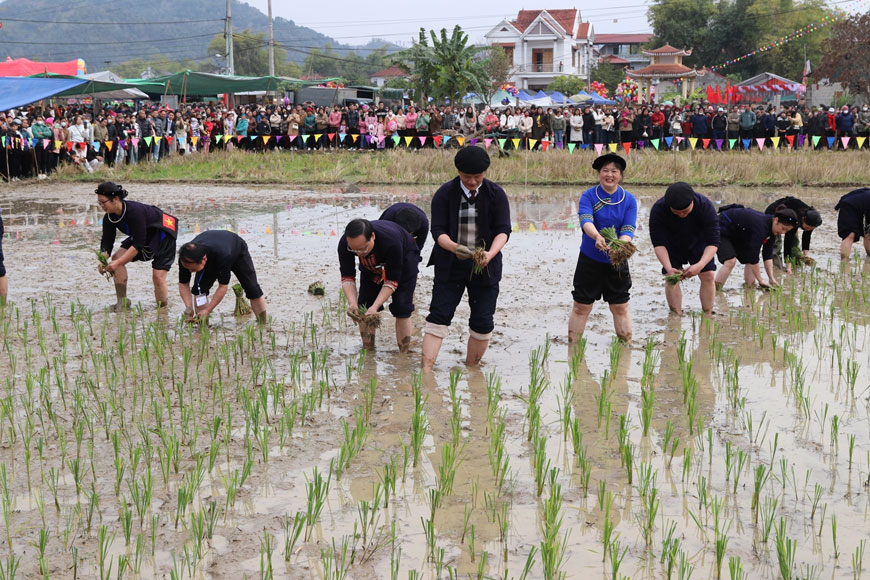 Nghi thức cày ruộng khai hội