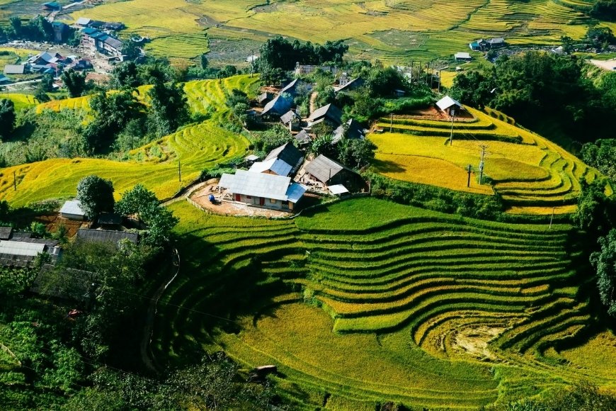 thung lung muong hoa