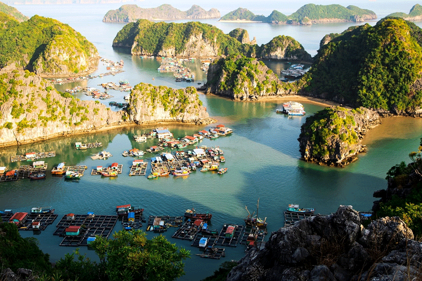 Du khách trầm trồ với hệ thống hang động kỳ vĩ. Ảnh: sưu tầm