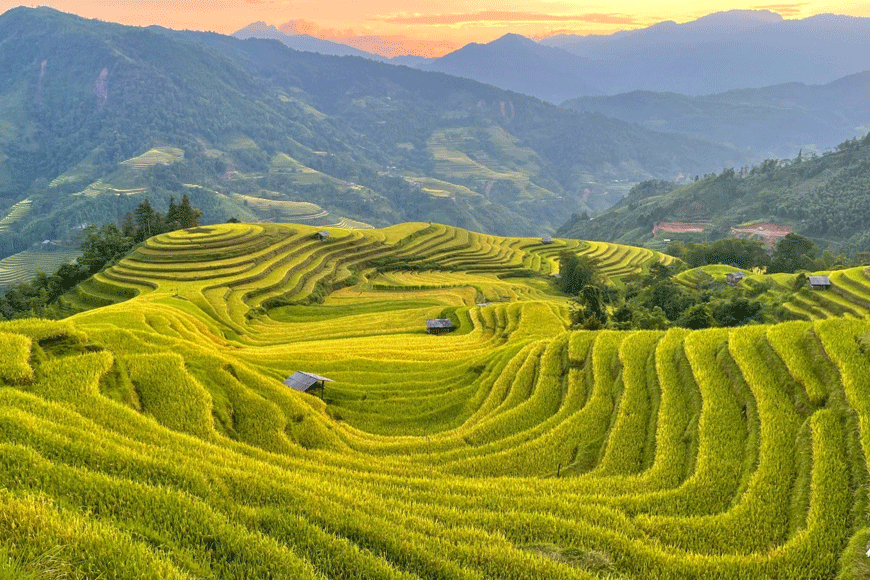 Nét đẹp Hoàng Su Phì. Ảnh: sưu tầm