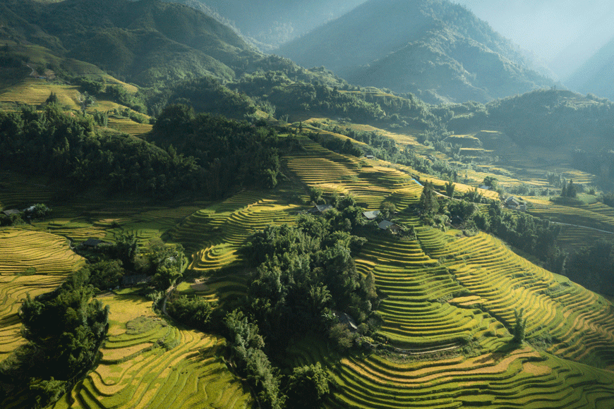 Sapa vào hè (Nguồn: sưu tầm)